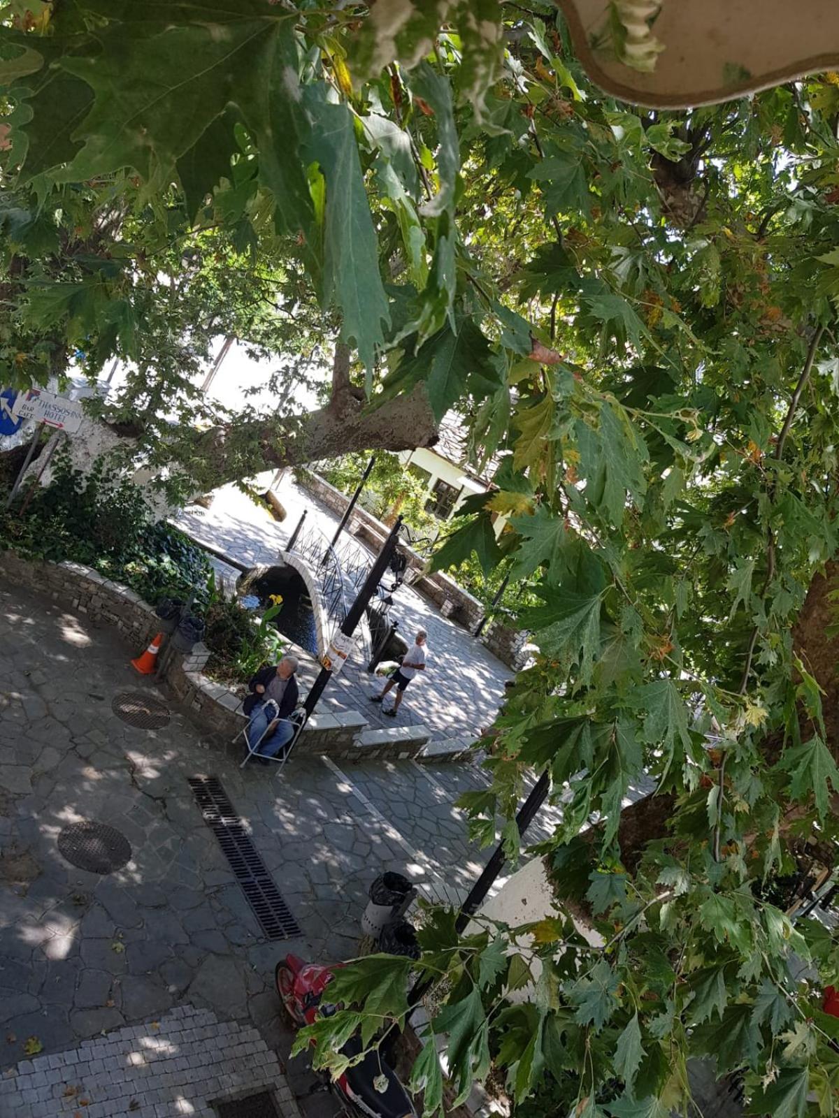 Amaya Pine Studio Panagia  Buitenkant foto