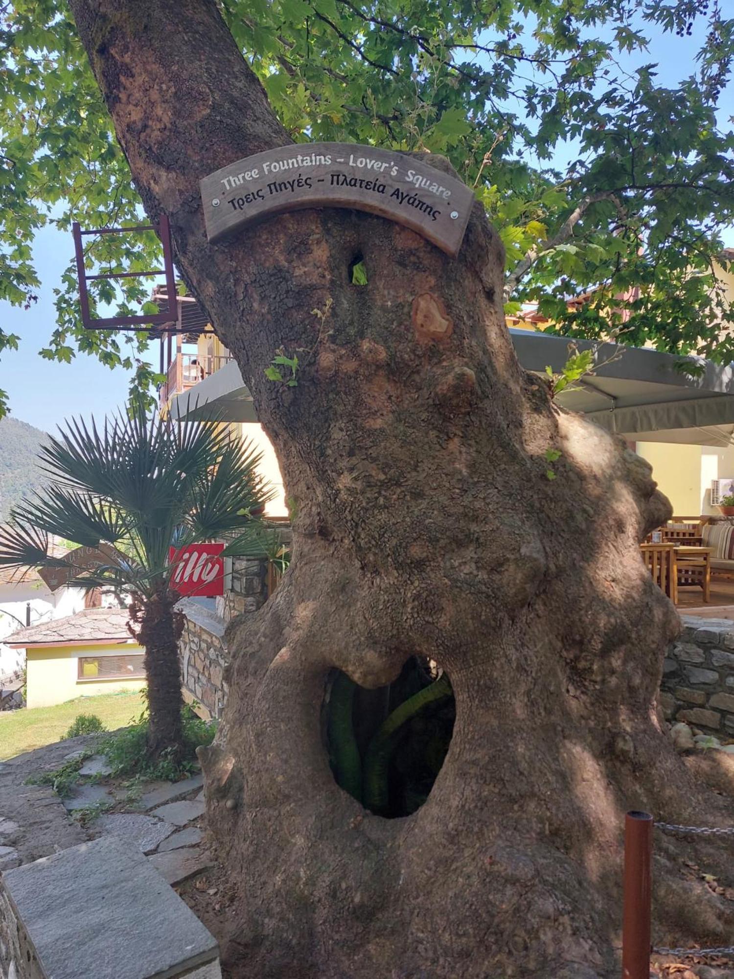 Amaya Pine Studio Panagia  Buitenkant foto